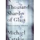 A Thousand Shards of Glass - There is Another America BOOK 